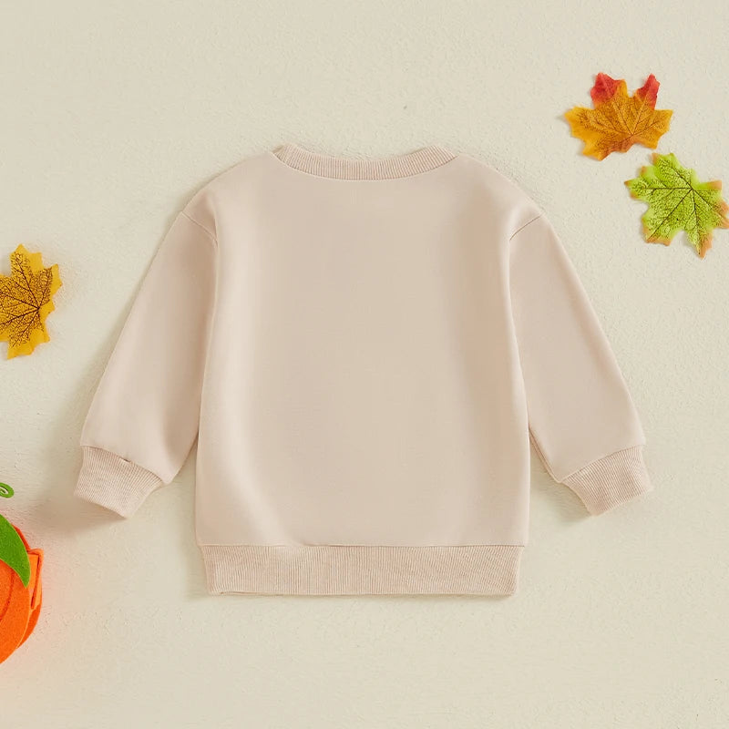 Halloween Sweatshirt Pumpkin Embroidery for Toddlers.